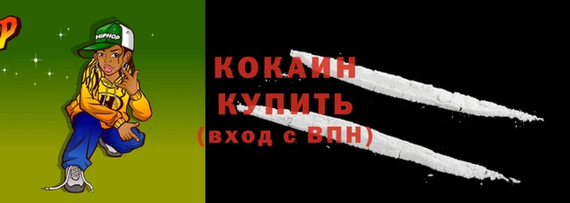 гидра Санкт-Петербург