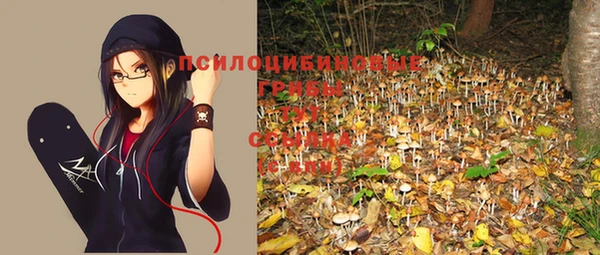 синтетический гашиш Тольятти