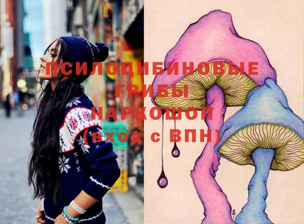 гидропоника Ессентукская