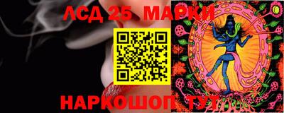 ПСИЛОЦИБИНОВЫЕ ГРИБЫ Аргун