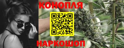 ПСИЛОЦИБИНОВЫЕ ГРИБЫ Аргун