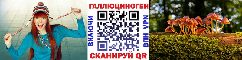 наркошоп  ОМГ ОМГ сайт  Псилоцибиновые грибы MAGIC MUSHROOMS  Бердск 