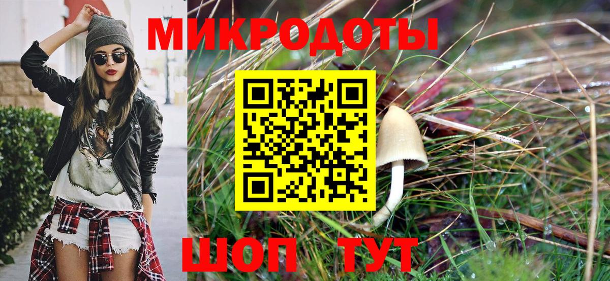 Галлюциногенные грибы MAGIC MUSHROOMS Бердск
