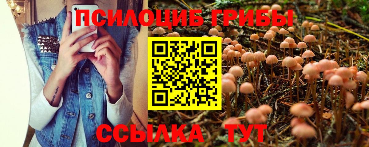 Галлюциногенные грибы Magic Shrooms Бердск