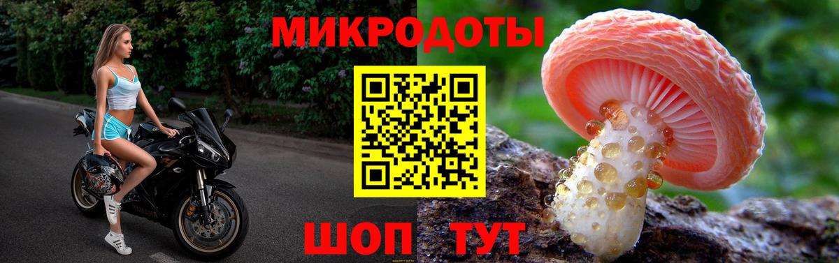 Бердск  Галлюциногенные грибы прущие грибы  Вход с VPN 